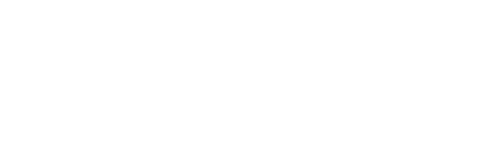 GovSprint